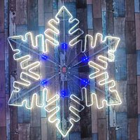 Novedades: Luz LED 2D con Forma de Copo de Nieve con Motivo de Destello Sincronizado para Navidad