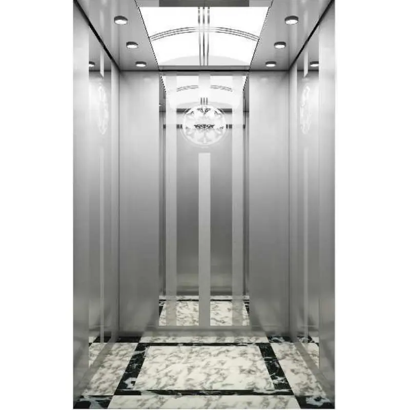 엘리베이터 고품질 상업용 건물 고급 전기 소형 주거 800kg 여객 엘리베이터
