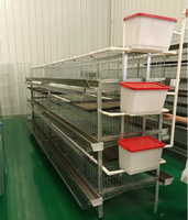 Nouvelle cage à batterie de type H à 3 niveaux pour poules pondeuses avec construction galvanisée, alimentation et abreuvement automatiques et collecte des œufs