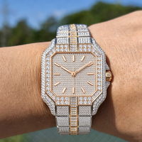 Montre de luxe automatique étanche pour homme, entièrement sertie de diamants Moissanite VVS1 couleur D, testée au diamant, vente chaude