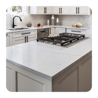 Plaques en plastique acrylique Staron Solid Surface Color Big Slab 3660*760*12mm avec garantie de 10 ans