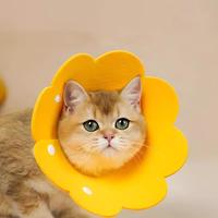 Collier pour animaux de compagnie (chats et chiens) réglable, en polyester imprimé, avec dentelle colorée brodée, motif floral de dessin animé, style cloche, tendance