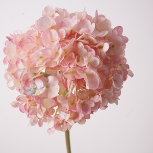 Fiore Artificiale di Alta Qualità, Ortensia Olandese Grande a Ramo, Fatta a Mano in Seta, per Ingrosso, Oggetto di Scena Fotografico, Decorazione Floreale Artistica - Product Image 4