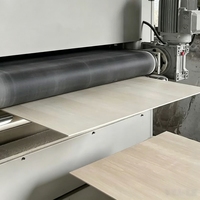 Panneaux de contreplaqué en tilleul 900x600mm 3mm en gros - Feuilles de bois laser en vrac, surface ultra-plate pour projets laser à grande échelle