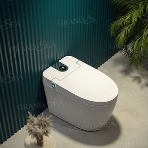 Распродажа, недорогой умный туалет для ванной комнаты - Product Image 1