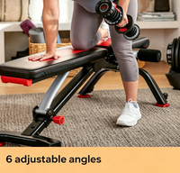 Banc de musculation en acier allié pour la maison - Réglable, pliable et empilable - Équipement d'entraînement de force - Banc de musculation pour sit-ups