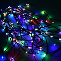 Grüne Volle Traumfarbe LED Kieselstein Lichterkette WS2811 RGBIC Pixel Individuell Adressierbar 5V 12V Weihnachtsbaum Dekoration