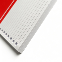 Papel de Hojas Sueltas B5 de Malasia, 26 Orificios, 70 g/m², Papel de Recambio Rayado, 100 Hojas para Carpeta, Cuaderno, Material Escolar