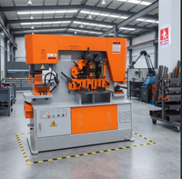 Machine hydraulique combinée de poinçonnage et de cisaillement, machine intégrée de découpe et de poinçonnage pour acier profilé et acier cornière