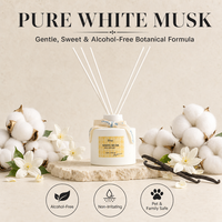 Diffuseur d'arômes WELLNESS pour la maison, marque privée personnalisée, collection Young & Fresh, diffuseur à bâtonnets parfumés sans flamme et non toxique