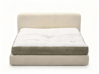 Cadre de lit nuage moderne en tissu modulaire, rembourré crème doux, sans installation, emballage en boîte, gain de place pour appartement