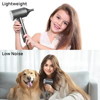 CONFU Sèche-cheveux ionique professionnel Diffuseur électrique Buse en plastique avec logo personnalisé Fonction pliante pour ménage Hôtel Voiture Voyage
