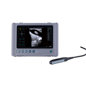8 inch LED medisch display dierenscanmodus convexe <span class=keywords><strong>array</strong></span> line <span class=keywords><strong>array</strong></span> convexe probe veterinair echografie diagnostisch systeem - Product Image 4