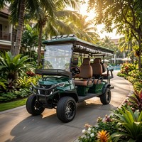 Voiturette de golf électrique certifiée CE, homologuée pour la route, avec moteur AC 4,0 kW, 6 places pour adultes, pour parcours de golf, complexe hôtelier