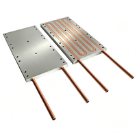 Plaque de refroidissement liquide personnalisée 125*250*12mm avec tubes en cuivre OD8 plaque de refroidissement par eau dissipateur thermique à plaque froide en aluminium