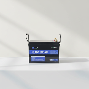 Derin Deşarjlı 12V 300Ah LiFePO4 Akü, 200A Deşarj, Çoklu Kullanım için 4S Desteği - Product Image 1