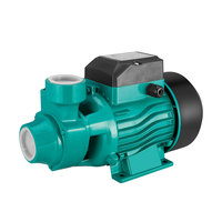 Pompe de surpression monophasée 0,75 CV 0,55 kW QB70 CE, petite pompe de surface pour l'eau domestique