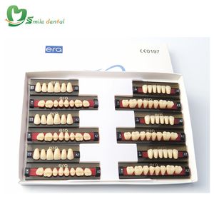 Denti in resina acrilica a tre strati/denti in resina per protesi - Product Image 2