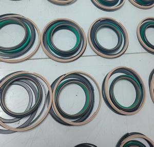 A810599001426 S Van lắp ráp con dấu Kit 60c1816diii. 4.18 cho Sany - Product Image 1