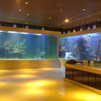 Grand cube transparent personnalisé cylindre en verre acrylique aquarium