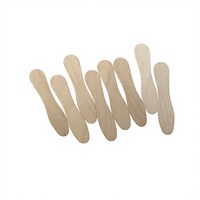 Bâtonnets de crème glacée jetables, flexibles, portables, écologiques, en bois de bouleau, pour machine à crème glacée et desserts, cuillère à crème glacée