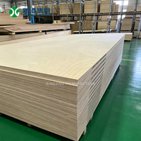 Contrachapado de Abedul Estructural de Alta Resistencia, Tablero de Madera Impermeable con Pegamento WBP para Uso Industrial