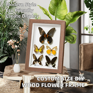 Wholesale Eco-Friendly Customized <b>Size</b> Photo <b>Frame</b> 4x6 6x8 8x10 <b>A4</b> Creative DIY Dried Flower 3D Wood Shadow Box - Product Image 2