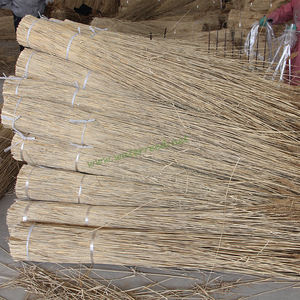 Wasser <span class=keywords><strong>Reed</strong></span> Für Thatching - Product Image 2