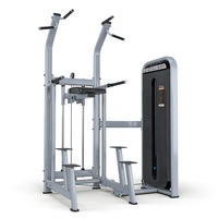 Mesin Chin Dip dan Pull Up Bertenaga Pin untuk Penggunaan Komersial dan Rumahan, Mesin Bantu Pull Up dan Chin Dip untuk Latihan Kekuatan di Gym