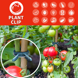 40 PCS Pinces pour plantes Outil de jardinage pour tomates <span class=keywords><strong>Cage</strong></span> Clips pour tomates Clips de support pour plantes grimpantes en <span class=keywords><strong>bambou</strong></span> - Product Image 6