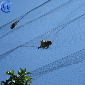 Piège à <span class=keywords><strong>oiseaux</strong></span> 20 mètres filet de pêche <span class=keywords><strong>oiseaux</strong></span> réseaux de chasse 16X5 filets de brouillard commerce maille Air brouillard filet pour attraper oiseau <span class=keywords><strong>plus</strong></span> petite maille - Product Image 3