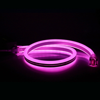 Bande lumineuse intérieure et extérieure décoration de bâtiment 24V/120V/230V LED corde lumière RGB 5050 PWM DMX Duplex 11x24mm Double côtés Neon Flex