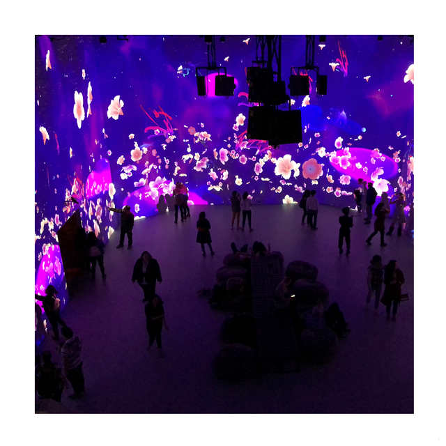 Hologram Projector 3D Holographic Interactive Wall Projection Immersive Game Smash the Ball Projection