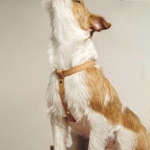 Aksesoris hewan peliharaan disesuaikan bentuk Y langkah dalam rompi klasik Pu mewah kulit asli <span class=keywords><strong>Harness</strong></span> anjing untuk anjing kecil dan sedang - Product Image 4