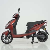 Moto électrique à deux roues haute vitesse 1000W à double éclairage pour adultes avec cadre en acier et moteur de moyeu arrière – Vente en gros usine