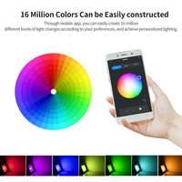 Projecteur LED intelligent WiFi RGB, contrôle par application, étanche, changement de couleur, pour le camping en plein air, les fêtes, la décoration de la cour