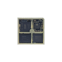Kit de développement Allwinner Rongpin RP-A133P Core Board RD-A133 Quad-Core LGA-A133P 2 Go RAM/16 Go Stockage pour innovation personnalisée