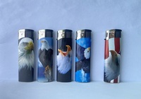Briquet en plastique à bas prix en gros, 5 couleurs, avec motifs design