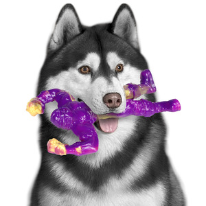 Giocattolo di cane resistente in Nylon per masticare carne di manzo indistruttibile giocattolo per cani grandi giocattoli interattivi per cani - Product Image 2