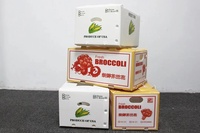 Feuille de corflute creuse en PP Boîte en carton ondulé Feuille de coroplast en plastique PP Boîte de corflute Stockage de légumes Boîte d'expédition empilable