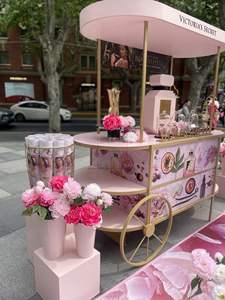 Carrito de Exhibición de Cosméticos Rosa para Vehículos, Venta Directa de Fábrica, Carrito Móvil para Eventos al Aire Libre - Product Image 3
