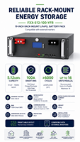 Fuxile FXX-512-100-YFR Baterai Penyimpanan Energi Surya Rumah Tangga LiFePO4 51.2V 100Ah yang Dipasang di Rak dengan BMS 5-10kW CAN/RS485/RS232