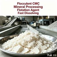 Éther de cellulose HPMC de qualité industrielle, pureté 92 %, CAS 9004-34-6, emballage personnalisé pour revêtements, peintures, produits alimentaires et pharmaceutiques