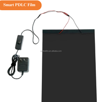 Película Inteligente PDLC con Atenuación, Compatible con EU REACH, Bajo Contenido de COV, Película de Privacidad Conmutable Eléctricamente, Decorativa para Cocina, Hotel, Clínica Médica, PET