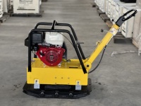 Mini compacteur à plaques pour moteur à essence de haute qualité 140kg 160kg 300kg C140 C160 C330 à vendre