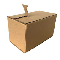 Cajas de Envío Corrugadas con Logotipo Personalizado, Cierre Autoadhesivo, Recicladas, con Relieve, para Cuidado de la Piel, Cosméticos y Pelucas, con Laminado Mate