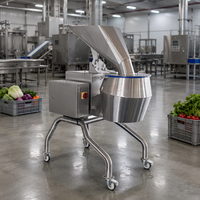 Grote aardappelchipsmachine, fruit- en groentesnijmachine, multifunctionele aardappelsnijder