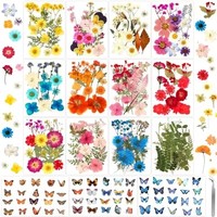 Fleurs séchées pressées mélangées, naturelles et véritables, pour la fabrication de bijoux en résine, de bougies, de scrapbooking, de cadres de cartes, de bricolage et de décoration artisanale