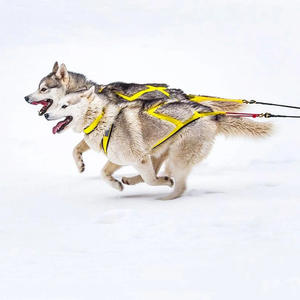 <span class=keywords><strong>Harnais</strong></span> de <span class=keywords><strong>luge</strong></span> <span class=keywords><strong>pour</strong></span> chien <span class=keywords><strong>pour</strong></span> l'extérieur Laisse de musculation réglable et réfléchissante Laisse de scooter de ski <span class=keywords><strong>pour</strong></span> animaux de compagnie - Product Image 3