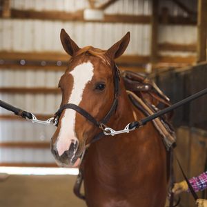 Extra Large Double Ended Bolt <b>Snaps</b> <b>Hooks</b> Load Capacity 316 Stainless Buckles Heavy Duty Trigger <b>Snap</b> for Bucket/Horse Feed - Product Image 4